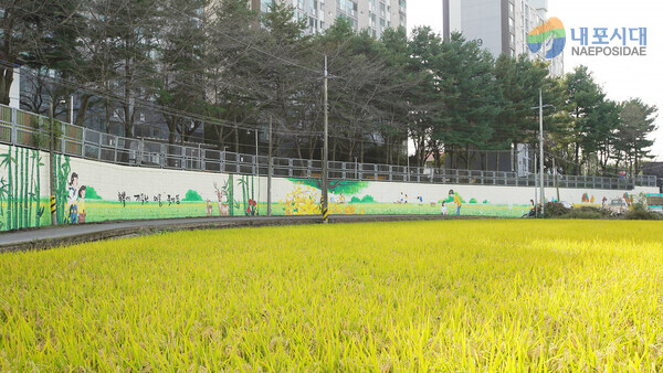 새롭게 단장한 죽성동 삼성아파트 옹벽 모습